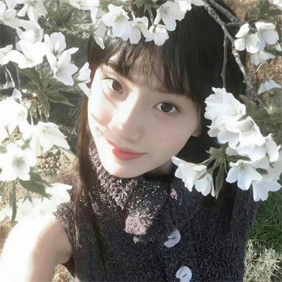 疯狂的兔子